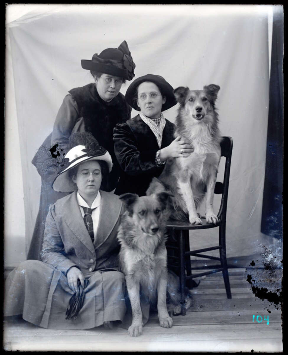 19th century portrait of three women and their two dogs